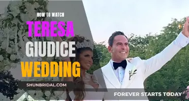 Stream Teresa Giudice's Wedding: Here's How to Watch