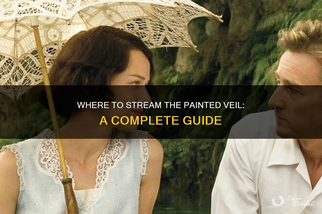 how to watch the painted veil