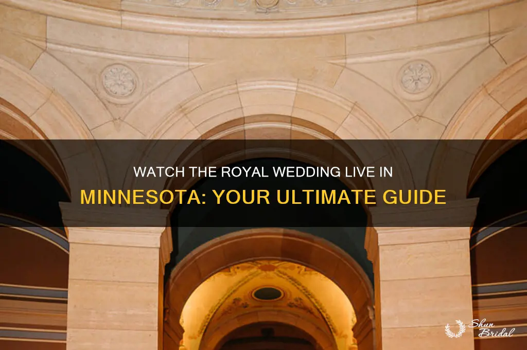 how to watch the royal wedding in minnesota