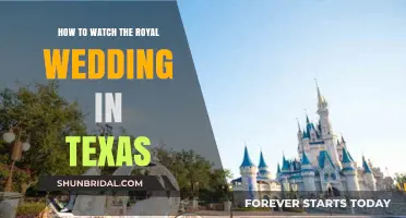 Texas Royal Wedding Viewing Guide: Live Stream & Local Events