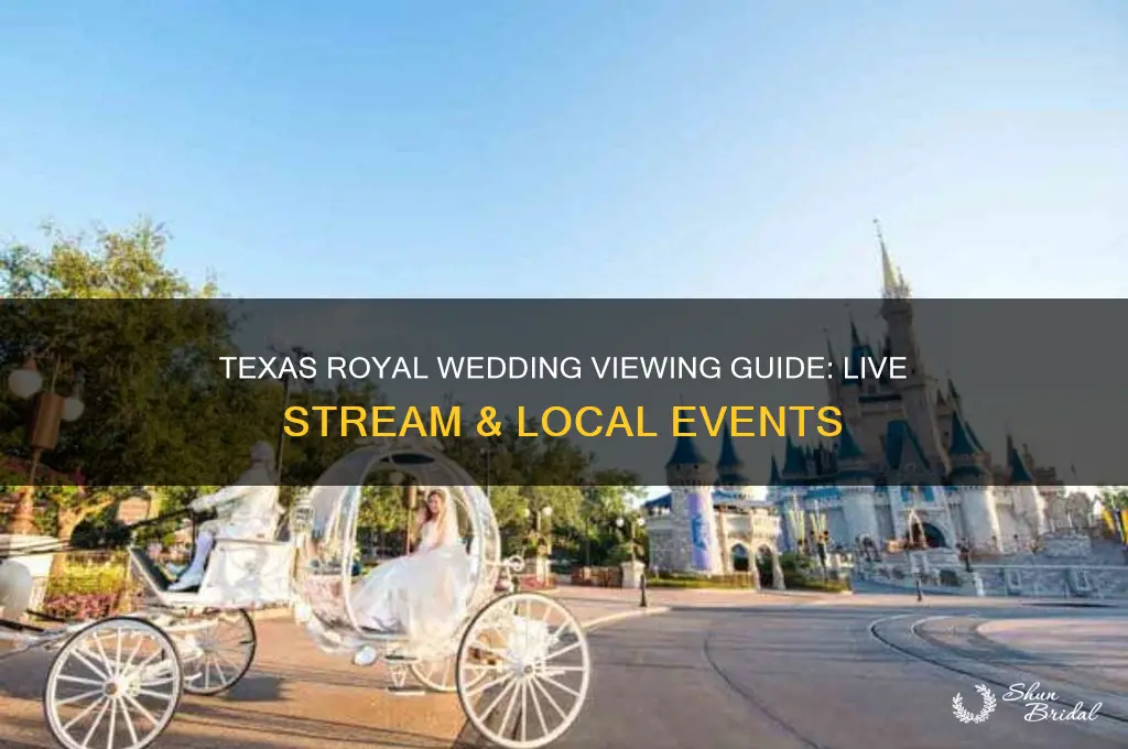 how to watch the royal wedding in texas