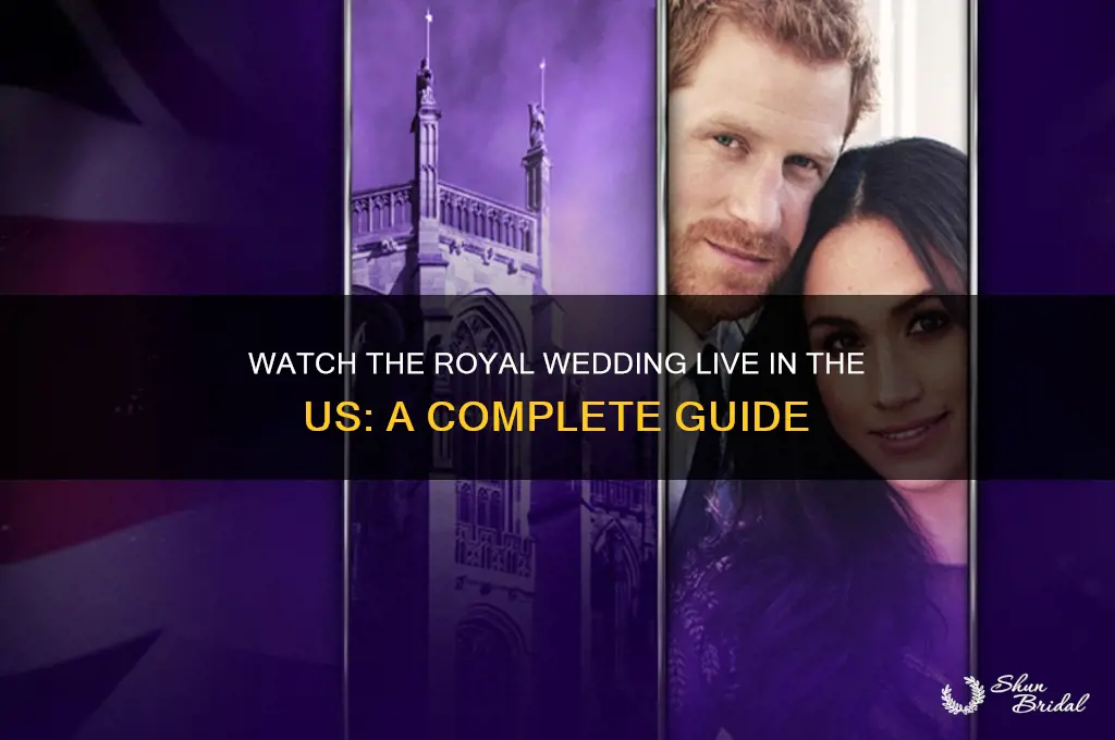 how to watch the royal wedding live in the us