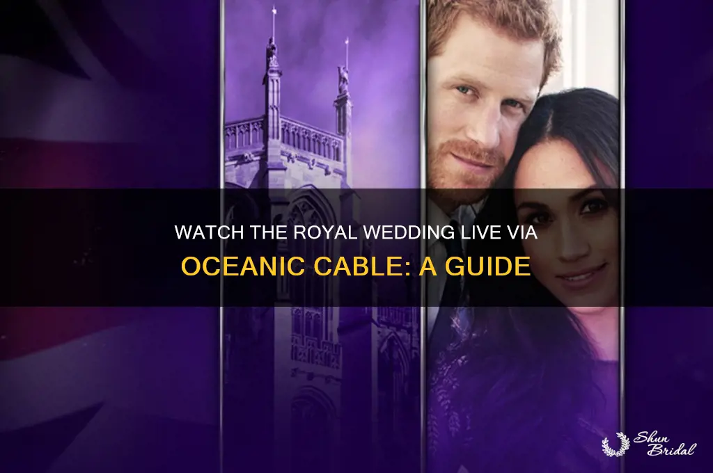 how to watch the royal wedding oceanic cable
