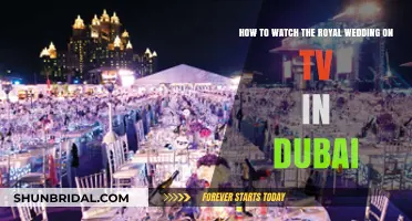 Dubai TV Guide: Royal Wedding Viewing Tips and Channels