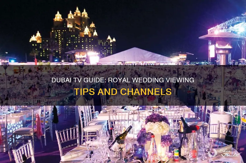 how to watch the royal wedding on tv in dubai