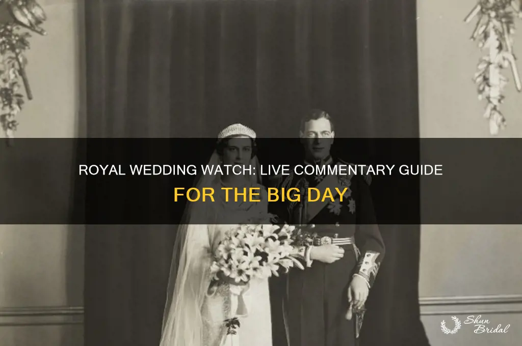 how to watch the royal wedding with commentary