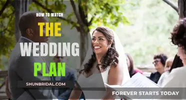 The Ultimate Guide to Watching Your Wedding Plan Unfold