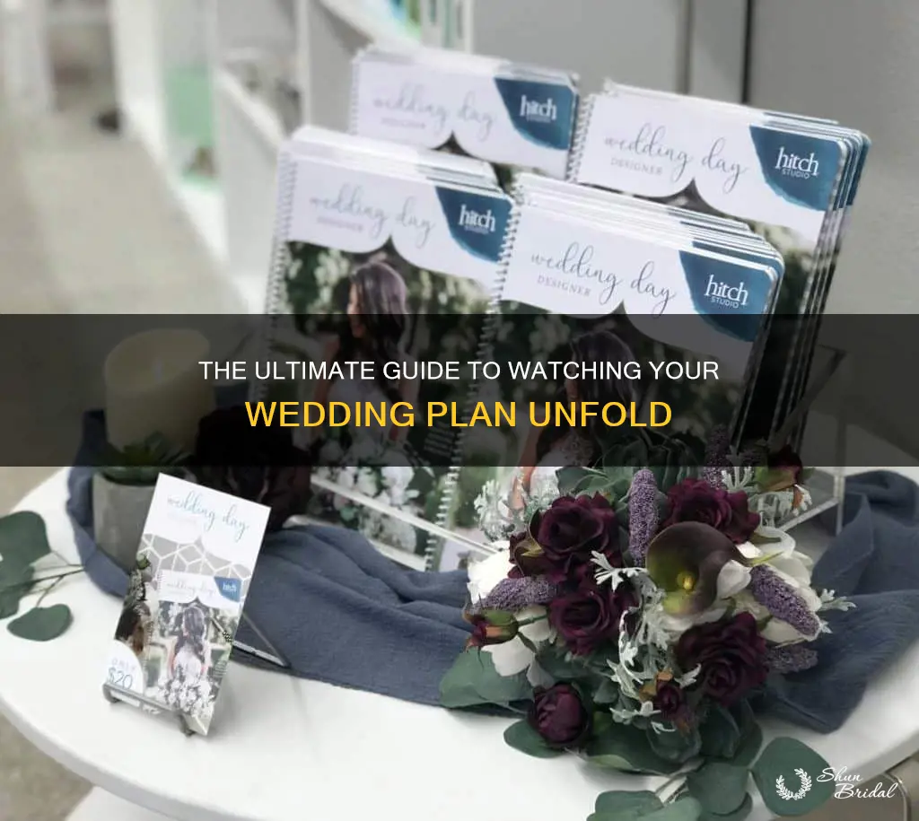 how to watch the wedding plan