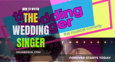 Stream The Wedding Singer: A Guide to Watching