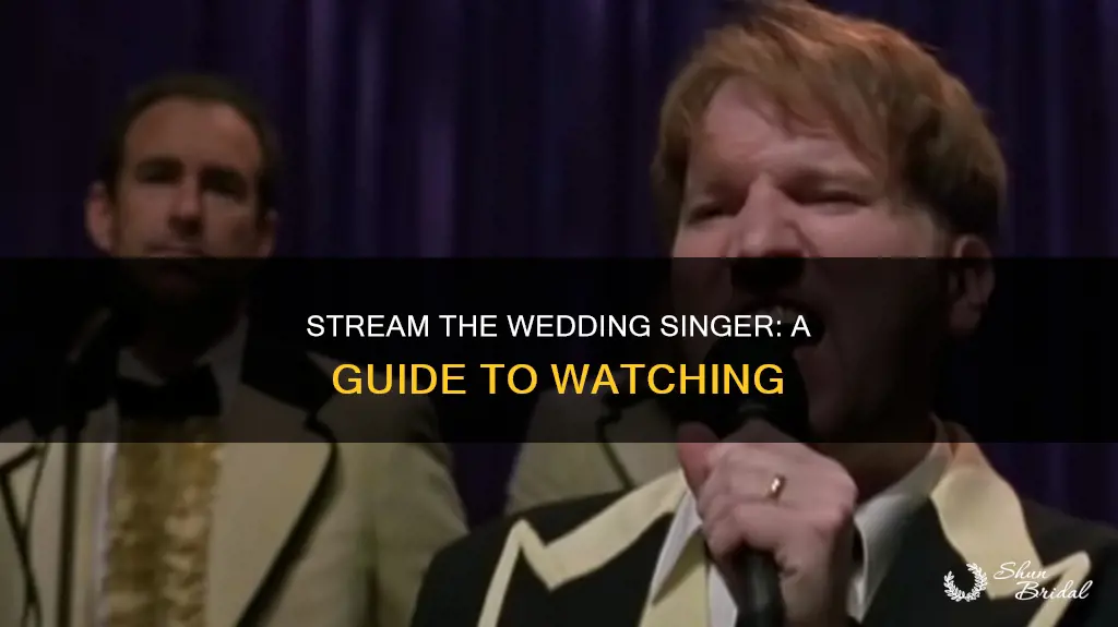 how to watch the wedding singer