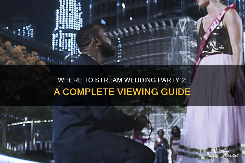 how to watch wedding party 2