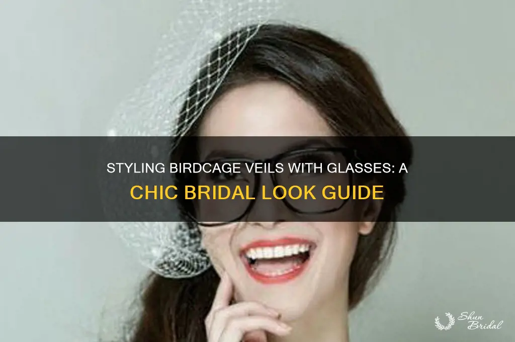 how to wear a birdcage veil with glasses