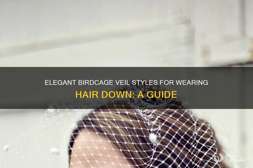 how to wear a birdcage veil with hair down