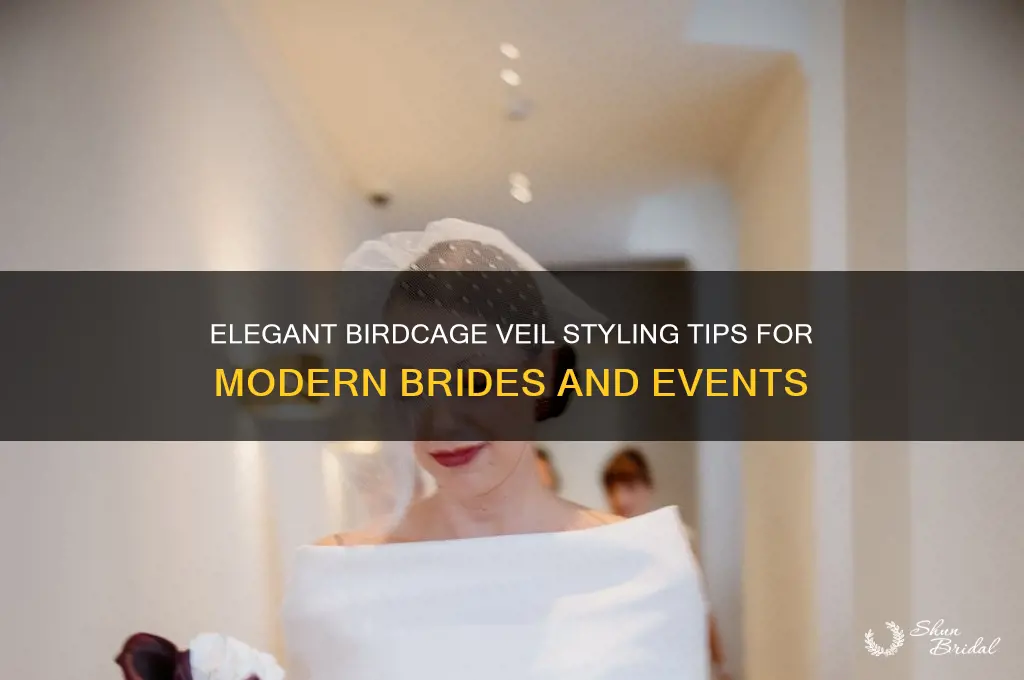 how to wear a birdcage veil