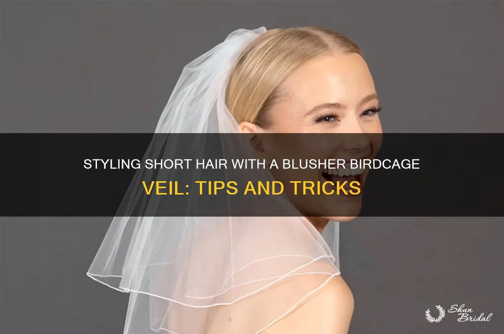 how to wear a blusher birdcage veil with short hair