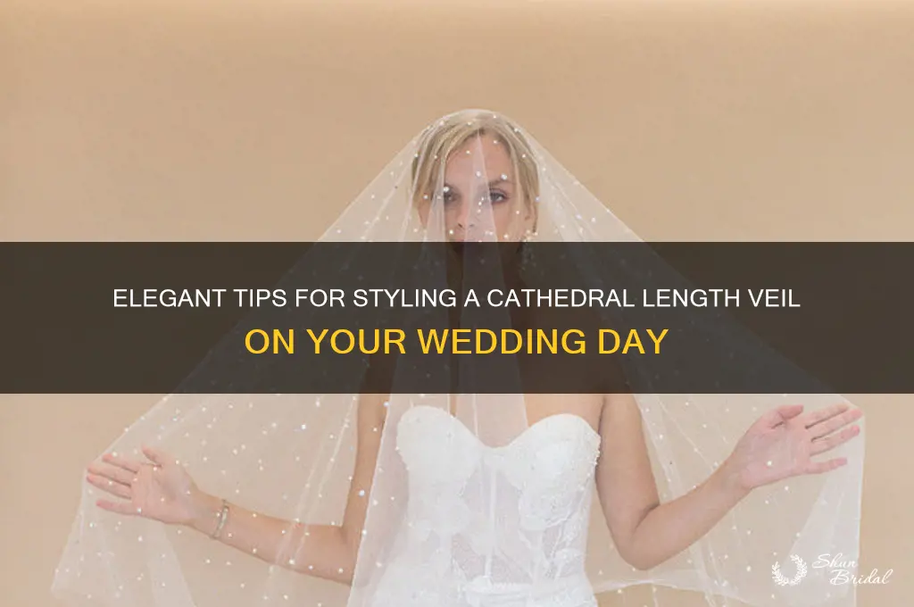 how to wear a cathedral length veil