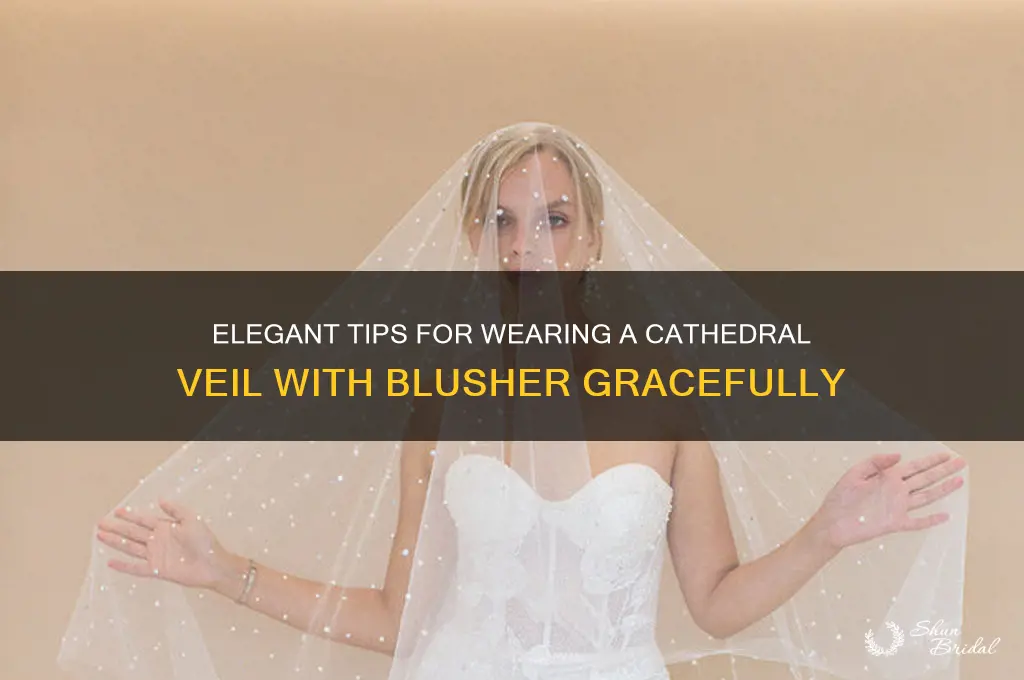 how to wear a cathedral veil with blusher