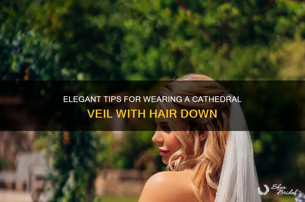 how to wear a cathedral veil with hair down