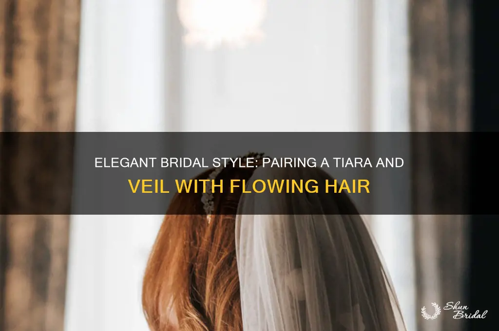 how to wear a tiara and veil with hair down