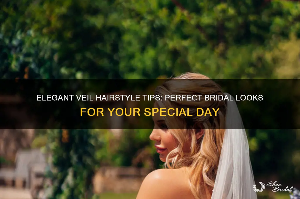 how to wear hairstyle with veil