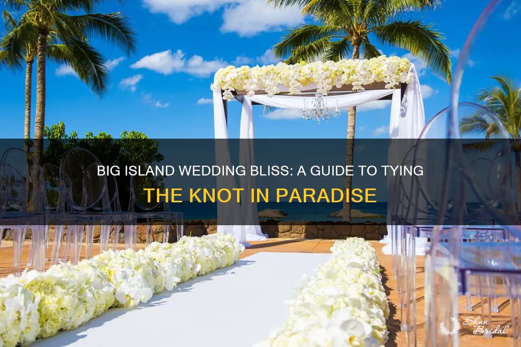 how to wed in big island