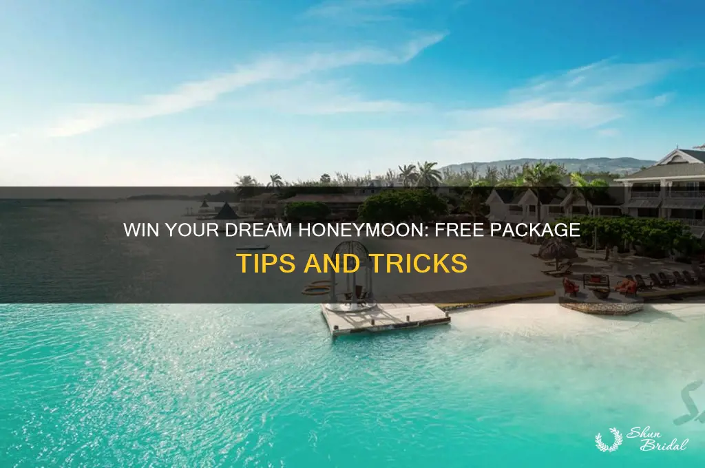 how to win a free honeymoon package