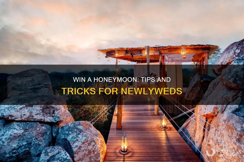 how to win a honeymoon