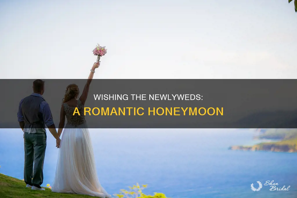 how to wish a newly wedded couple for a honeymoon