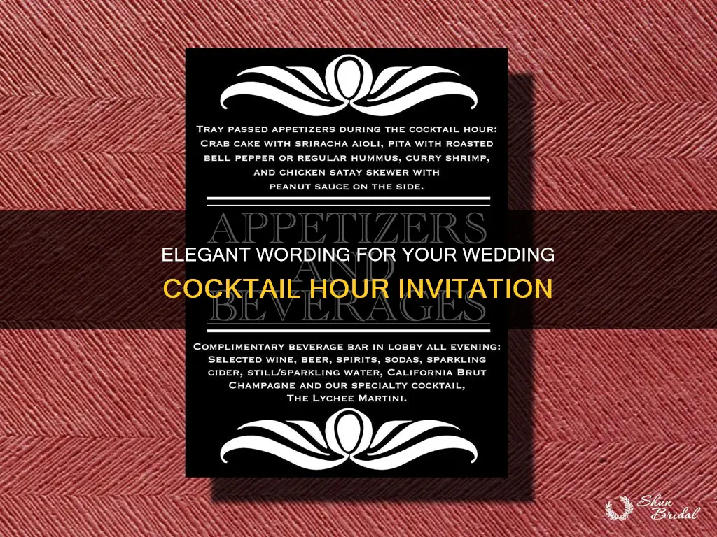 how to word cocktail hour on wedding invitation