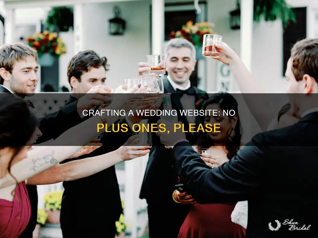 how to word no plus ones on wedding website