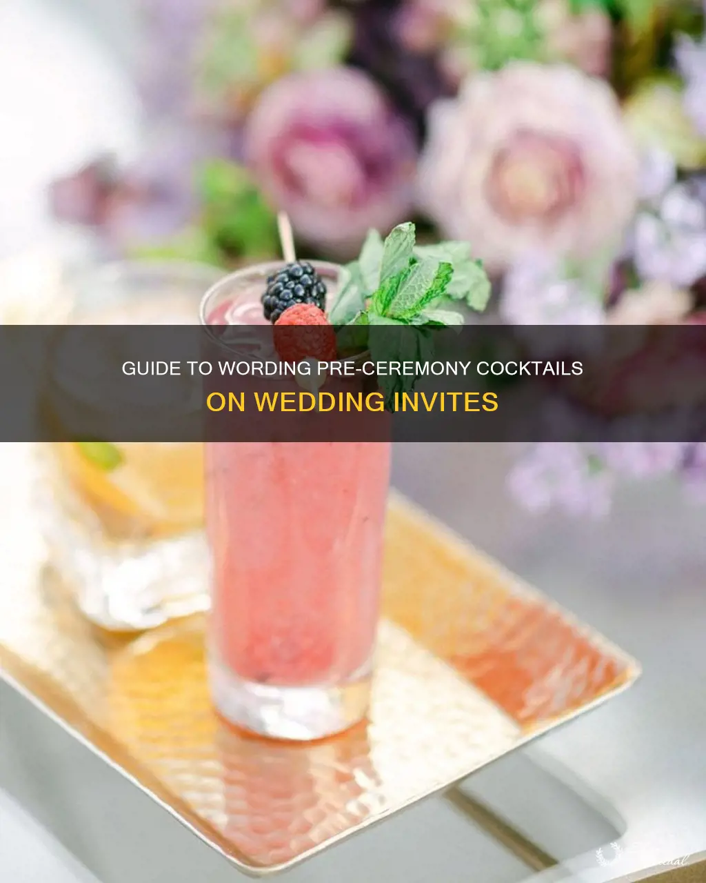 how to word pre ceremony cocktails on wedding invitation