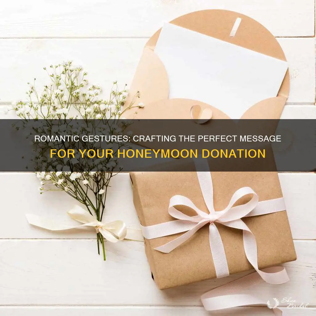 how to word to donate to honeymoon