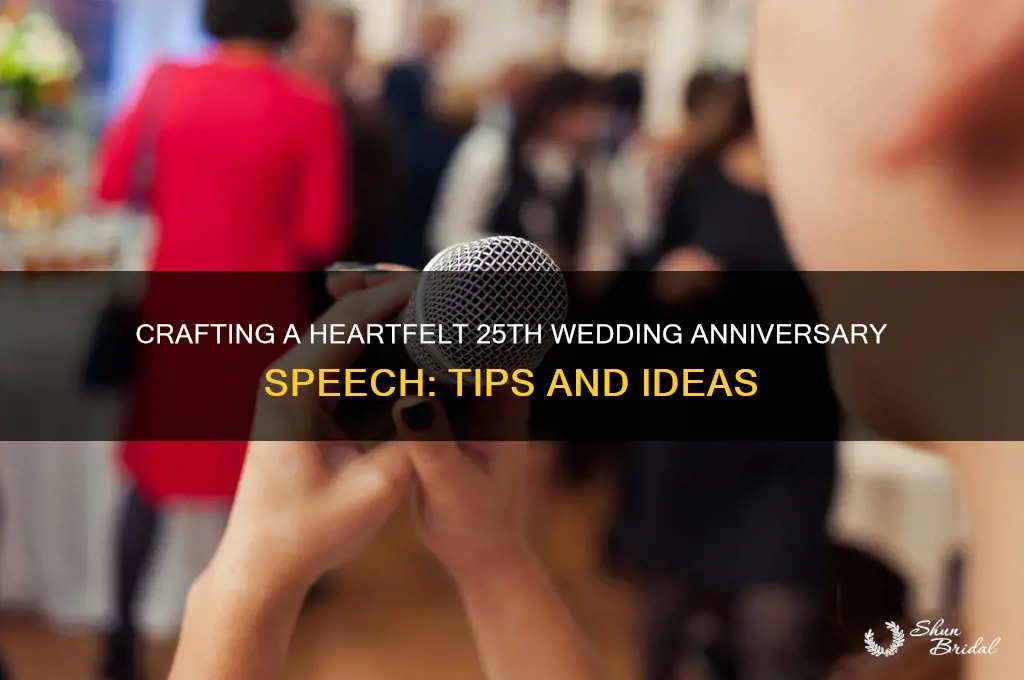 how to write a 25 wedding anniversary speech