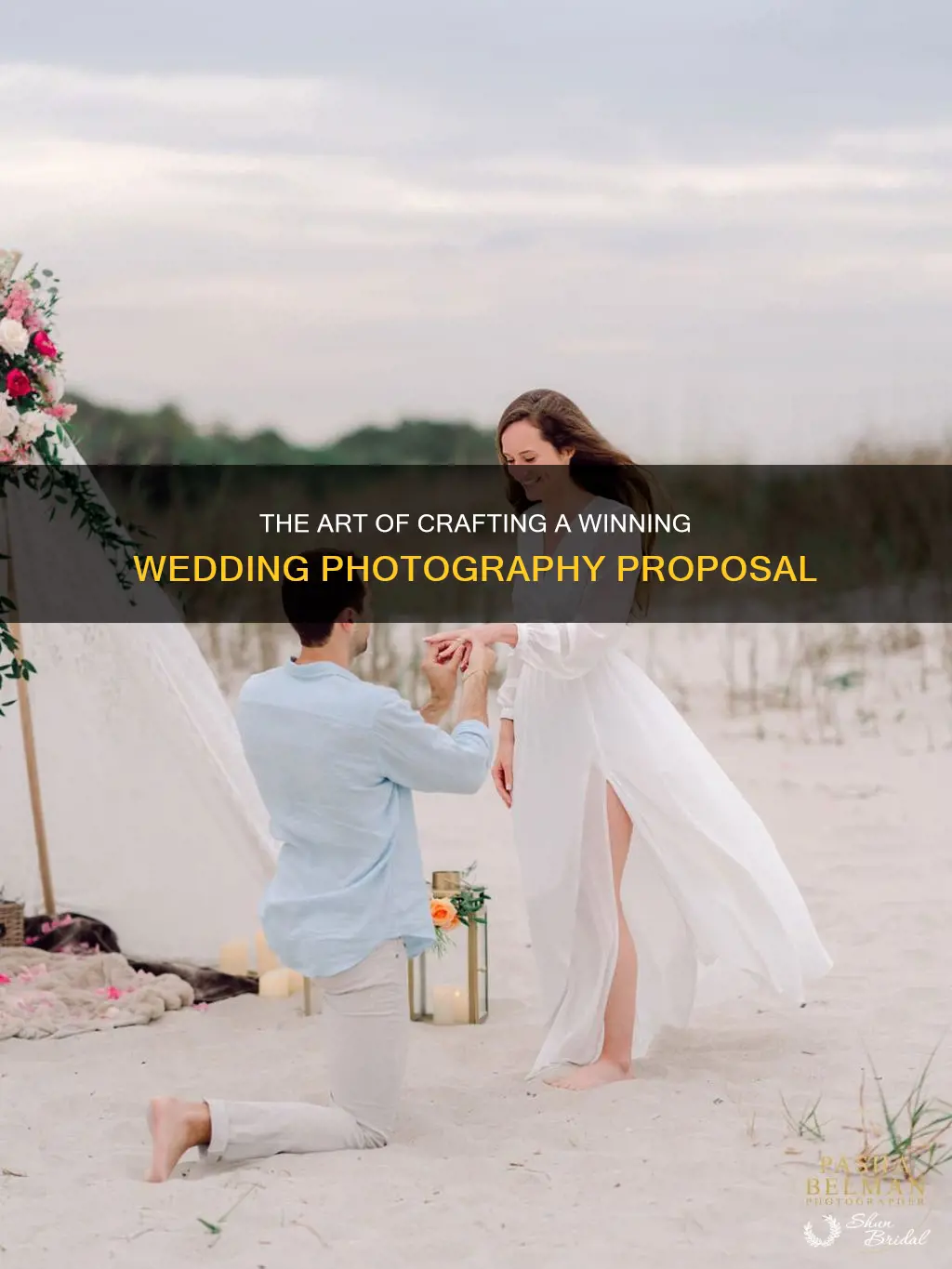 how to write a wedding photography proposal