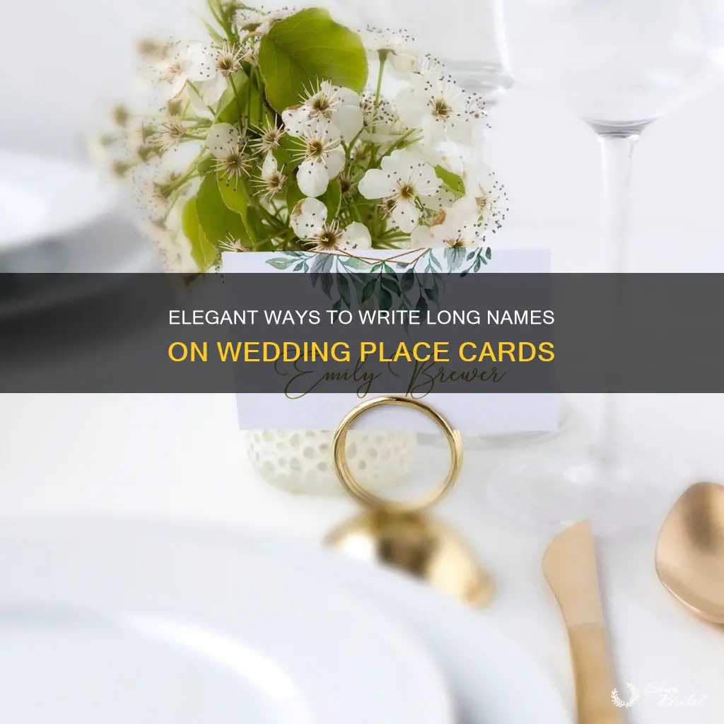 how to write long names on wedding place cards