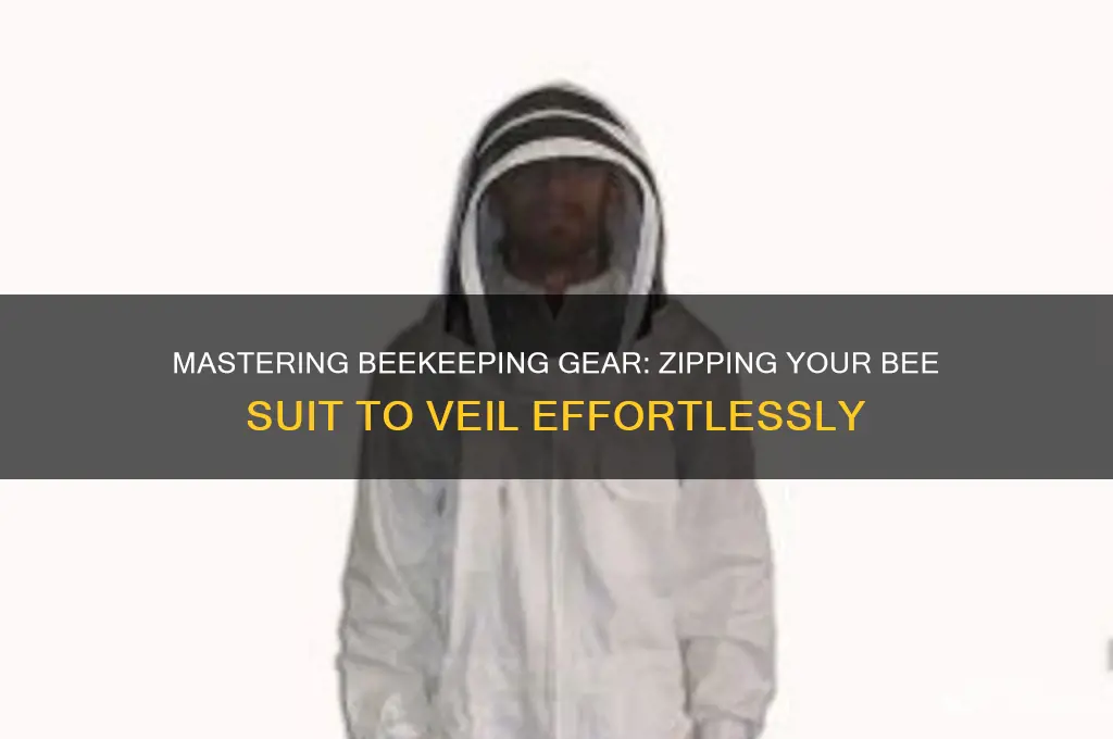 how to zip bee suit to veil