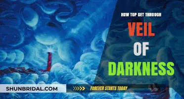 Navigating the Veil of Darkness: Strategies for Inner Light and Resilience
