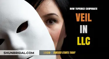 Piercing the Corporate Veil in LLCs: Strategies and Legal Insights