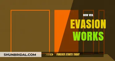 Understanding Veil Evasion: Techniques and Tactics to Bypass Detection