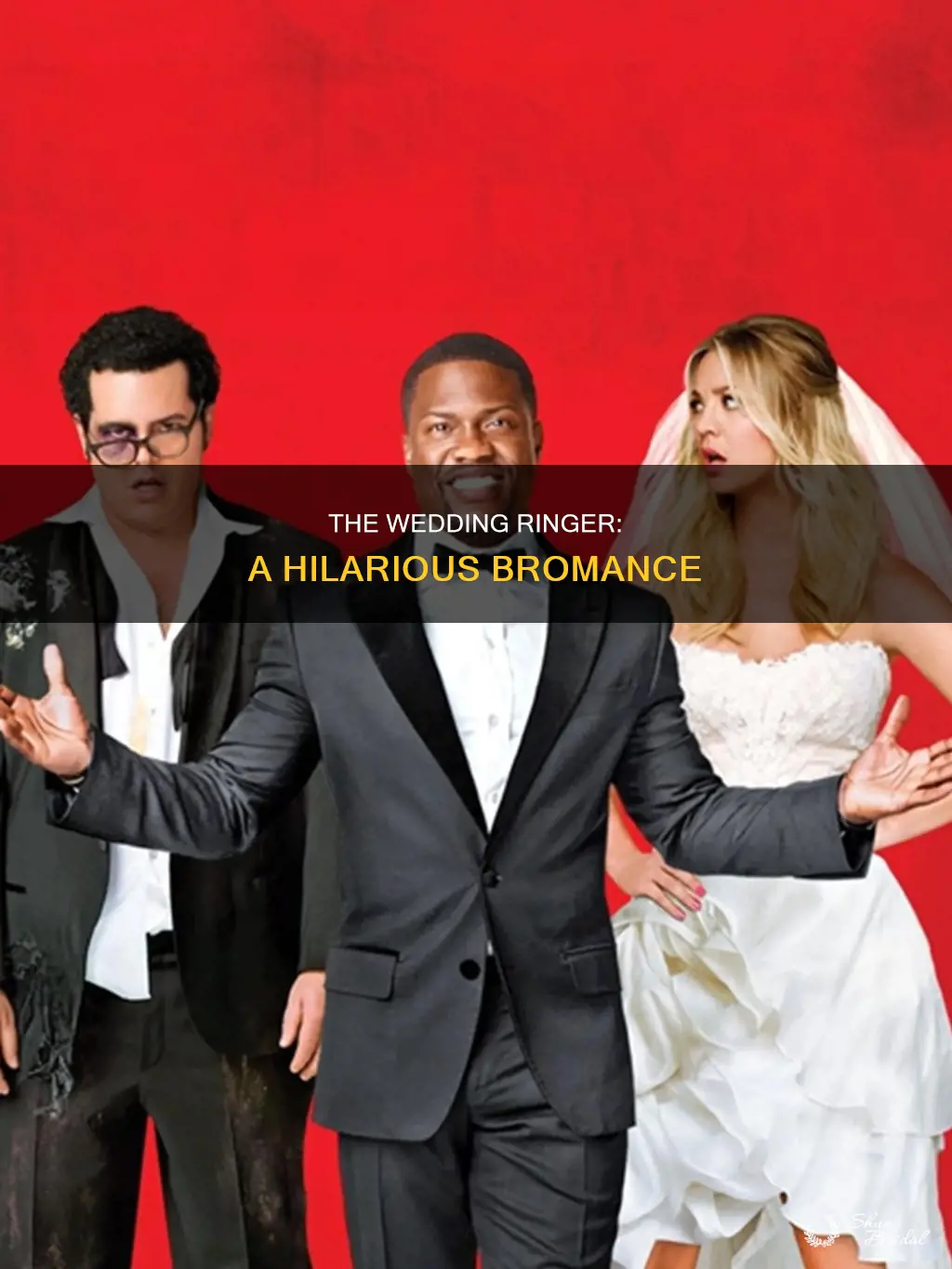 how was the wedding ringer