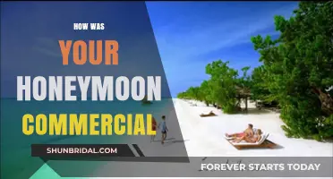 How Was Your Honeymoon Commercial: A Creative Analysis of Memorable Ads