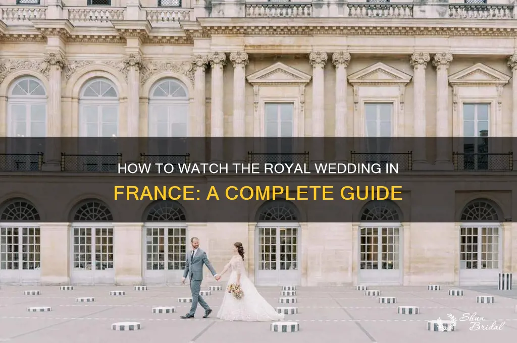 how watch royal wedding in france