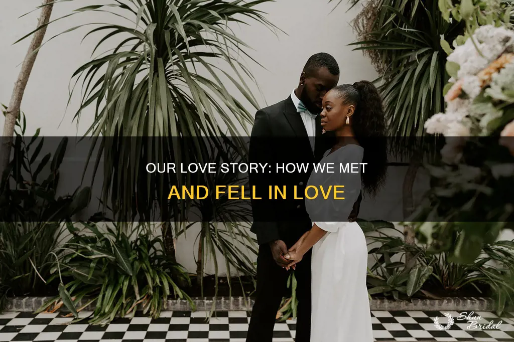 how we met section in wedding vows
