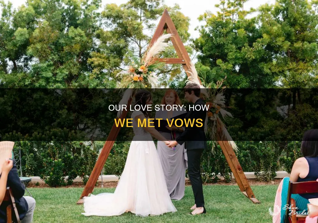 how we met wedding vows