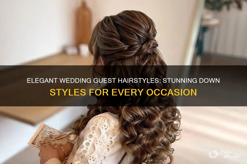 how wedding guest hairstyles down