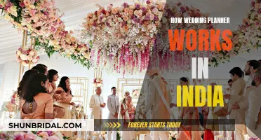 Wedding Planner Magic: Making Indian Dreams Come True