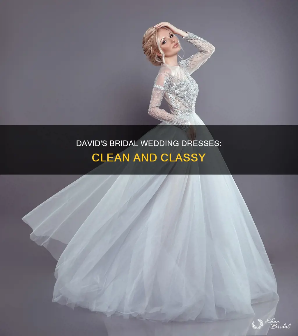 how well did davids bridal wedding dress clean