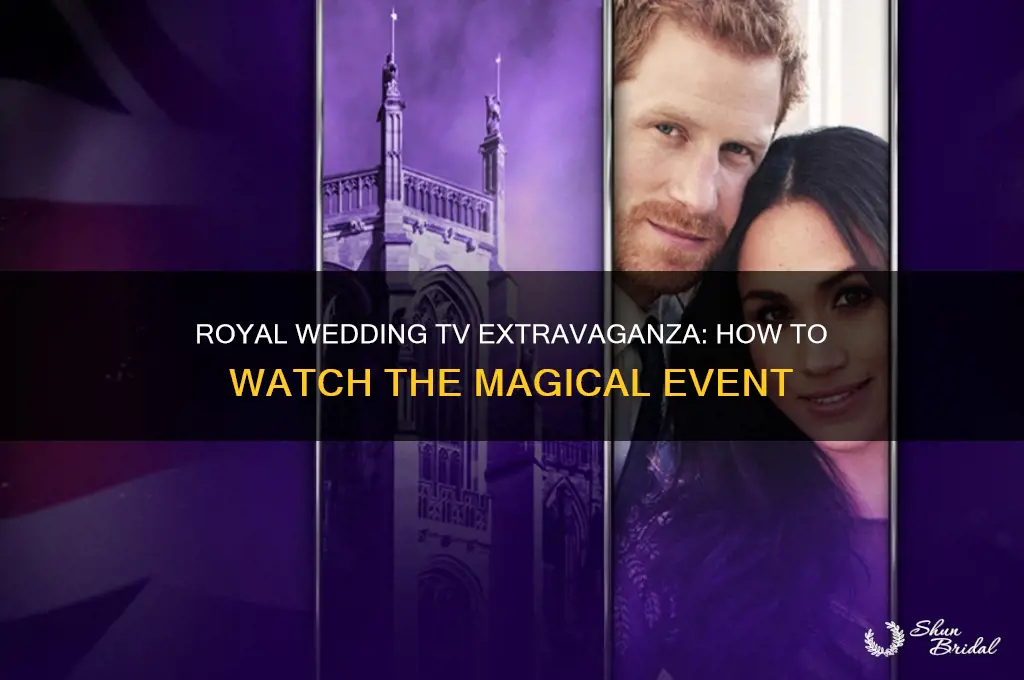 how what the royal wedding by tv