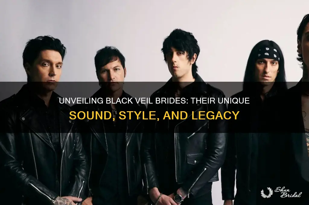 how would you desribed black veil brides