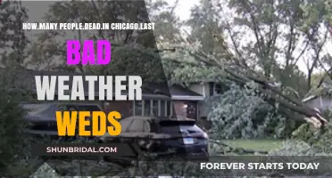 Chicago's Deadly Weather: Last Wednesday's Tragic Toll Revealed